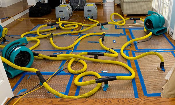 Professional Flood Damage Restoration technician working in Lutherville Timonium, MD